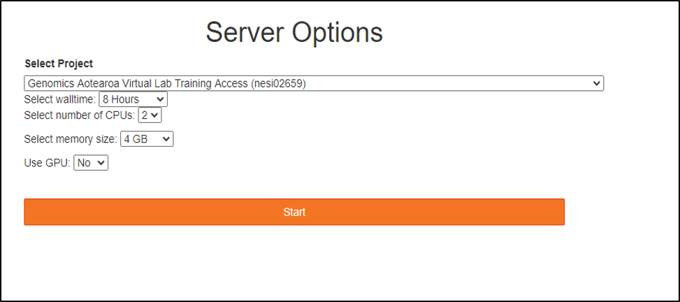 Server options for NeSI Jupyter hub