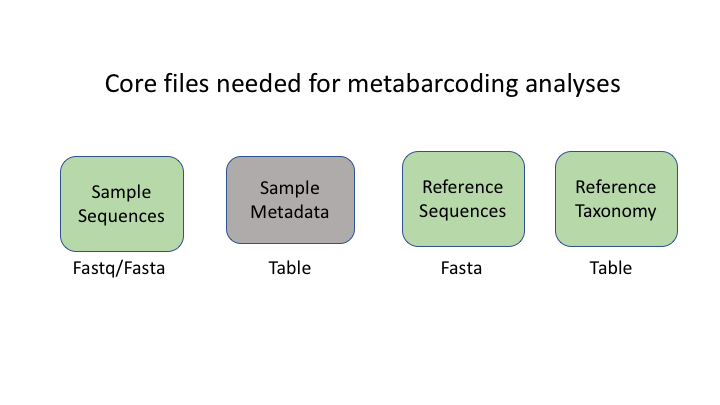 core files needed for metabarcoding analyses