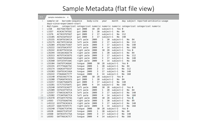 "sample metadata (flat view)"