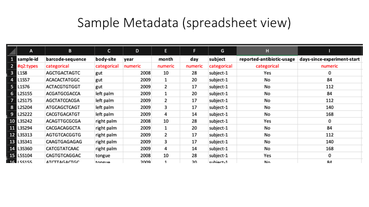 "sample metadata (spreadsheet view)"